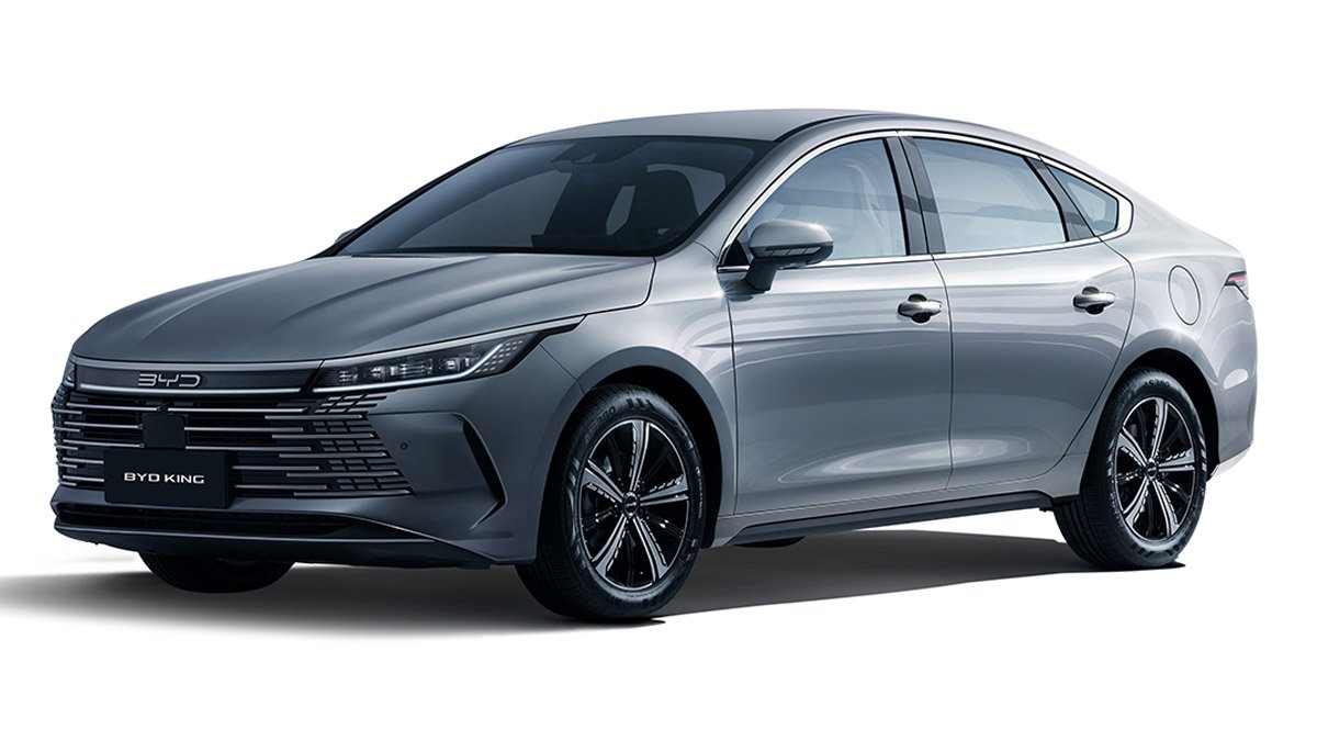 BYD KING GS